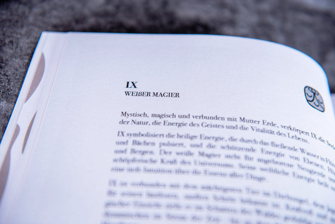 Arbeitshandbuch : Die 20 Wellen in Übersicht (Tzol'Kin) – Bild 6